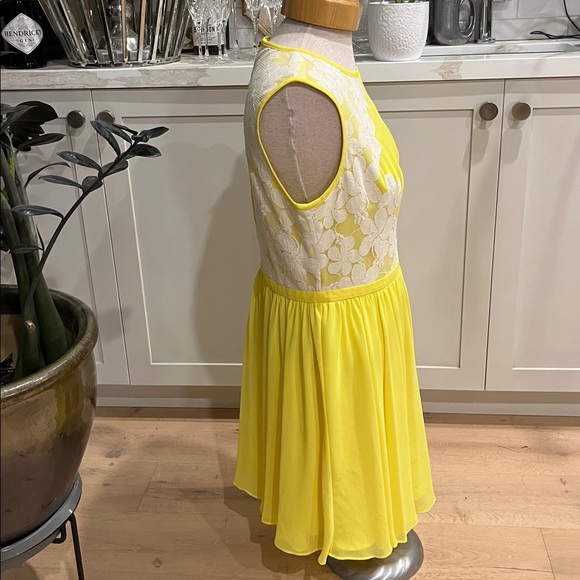 Ted Baker Vember Yellow and White Lace Mini Dress - Picture 7 of 14